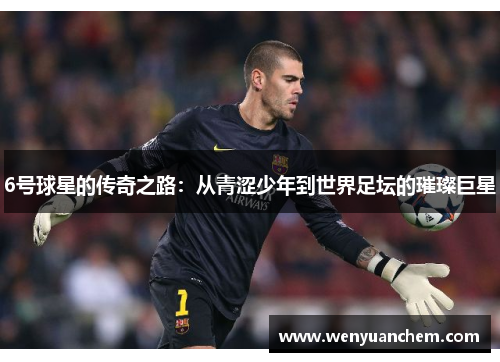 6号球星的传奇之路：从青涩少年到世界足坛的璀璨巨星