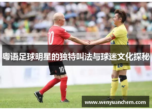 粤语足球明星的独特叫法与球迷文化探秘