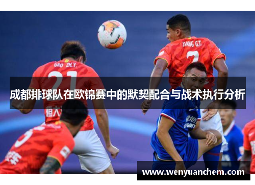 成都排球队在欧锦赛中的默契配合与战术执行分析