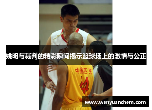 姚明与裁判的精彩瞬间揭示篮球场上的激情与公正