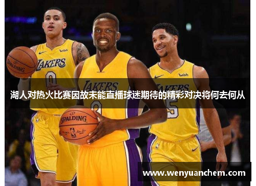 湖人对热火比赛因故未能直播球迷期待的精彩对决将何去何从