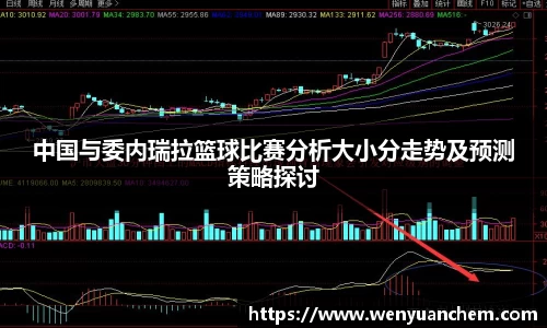 yy易游中国与委内瑞拉篮球比赛分析大小分走势及预测策略探讨