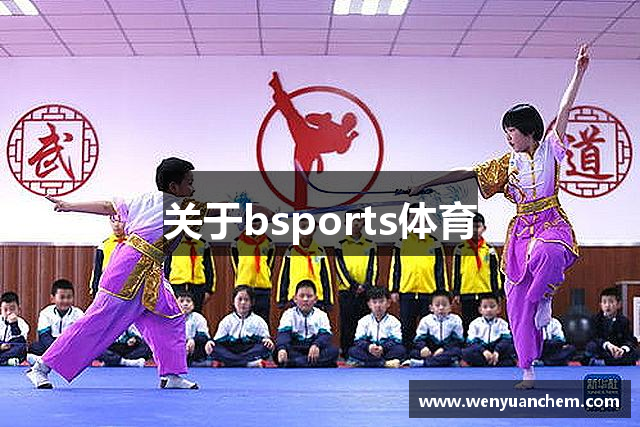 关于bsports体育
